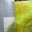 นิตยสารสารคดี ฉบับที่194 เมษายน 2544 เฟิน,ชนกว่าง,สำรับแขกคลองบางหลวง