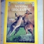 นิตยสาร เนชั่นแนลจีโอกราฟิก,National Geographic, VOL.155,NO.02 FEB.1979