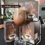 โกโก้ยายณี Nne' Cocoa โกโก้ ลดน้ำหนัก หนูนาสวีเดน ราคาถูก ฟรีของแถมทุกรายการ