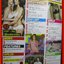 นิตยสารZOO ฉบับ132 ปี2553 ปก ออย + พิม